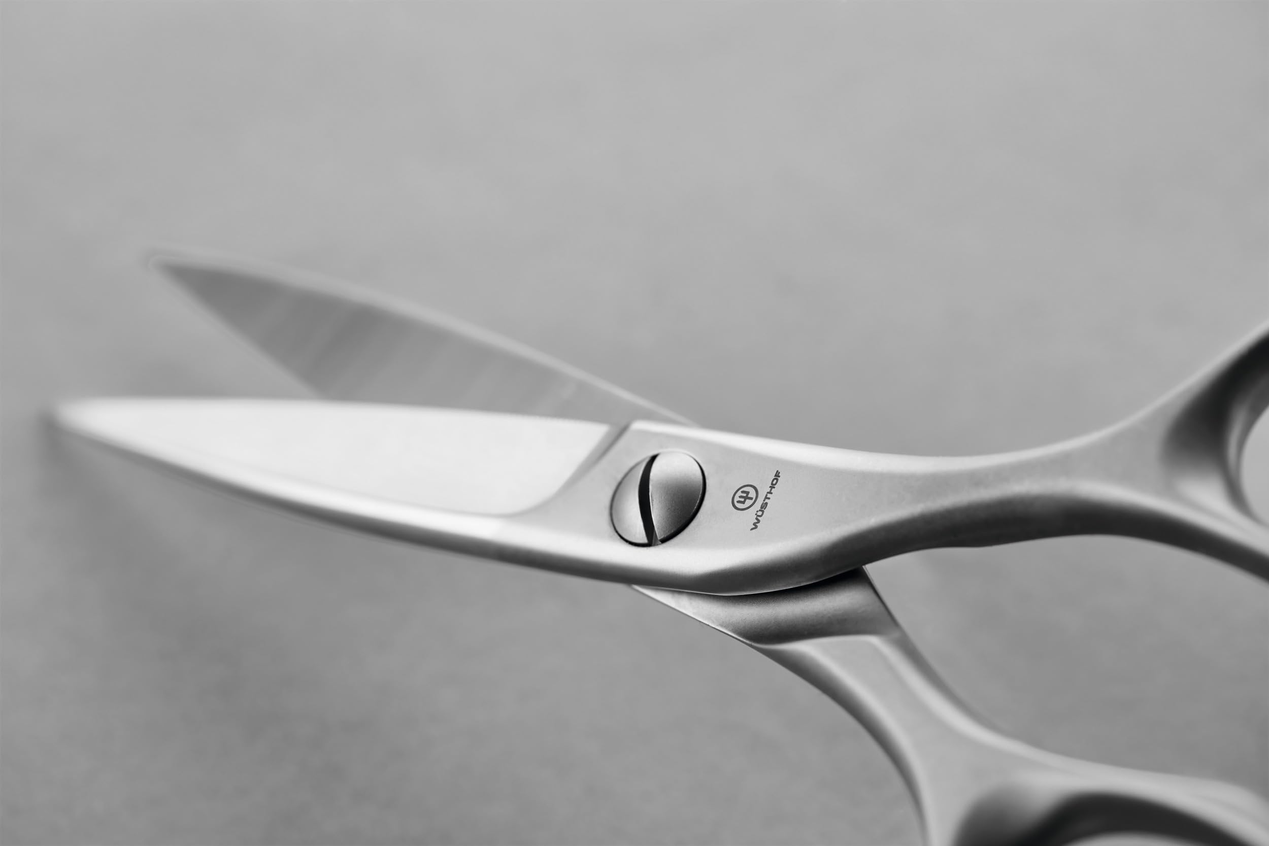 WÜSTHOF Küchenschere 20,3 cm Gesamtlänge, Silber