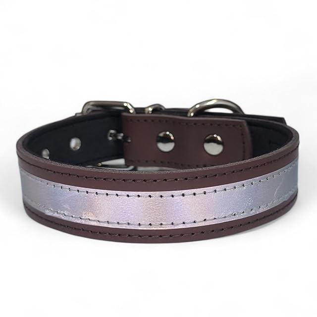 Foto 3 de 8 de Collar de Cuero con Cinta Reflectante de Alta Visibilidad - Acolchado Interior - Nombre Personalizado