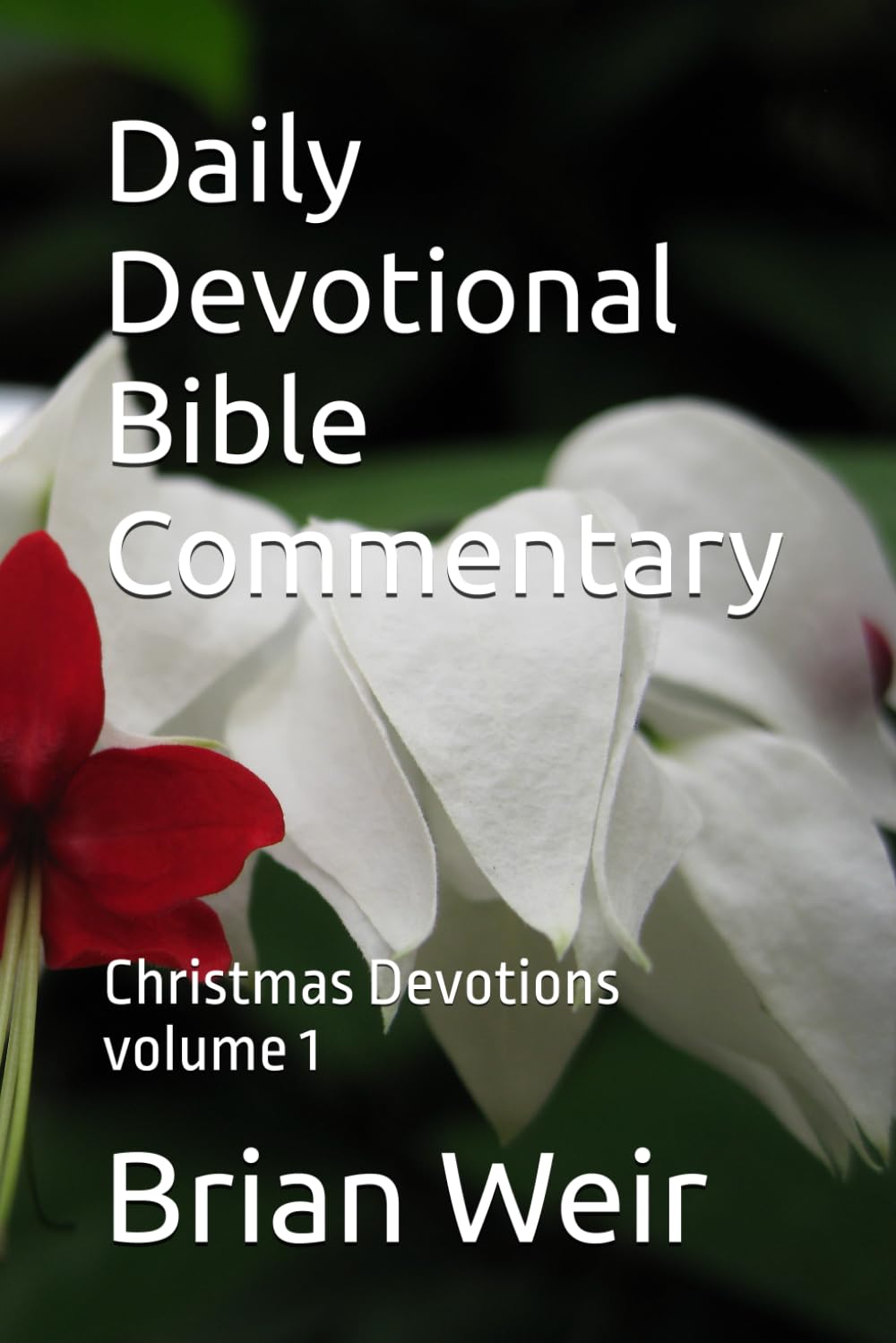 Daily Devotional Bible Commentary: Christmas Devotions volume 1