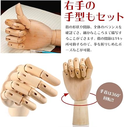 Amazon Zakya デッサン人形 2点セット 木製 人形 ハンド 右手 マネキン 関節 可動 美術 インテリア アクセサリースタンド 人形 1 ハンド 1 人型 右手 モデル人形 手 通販