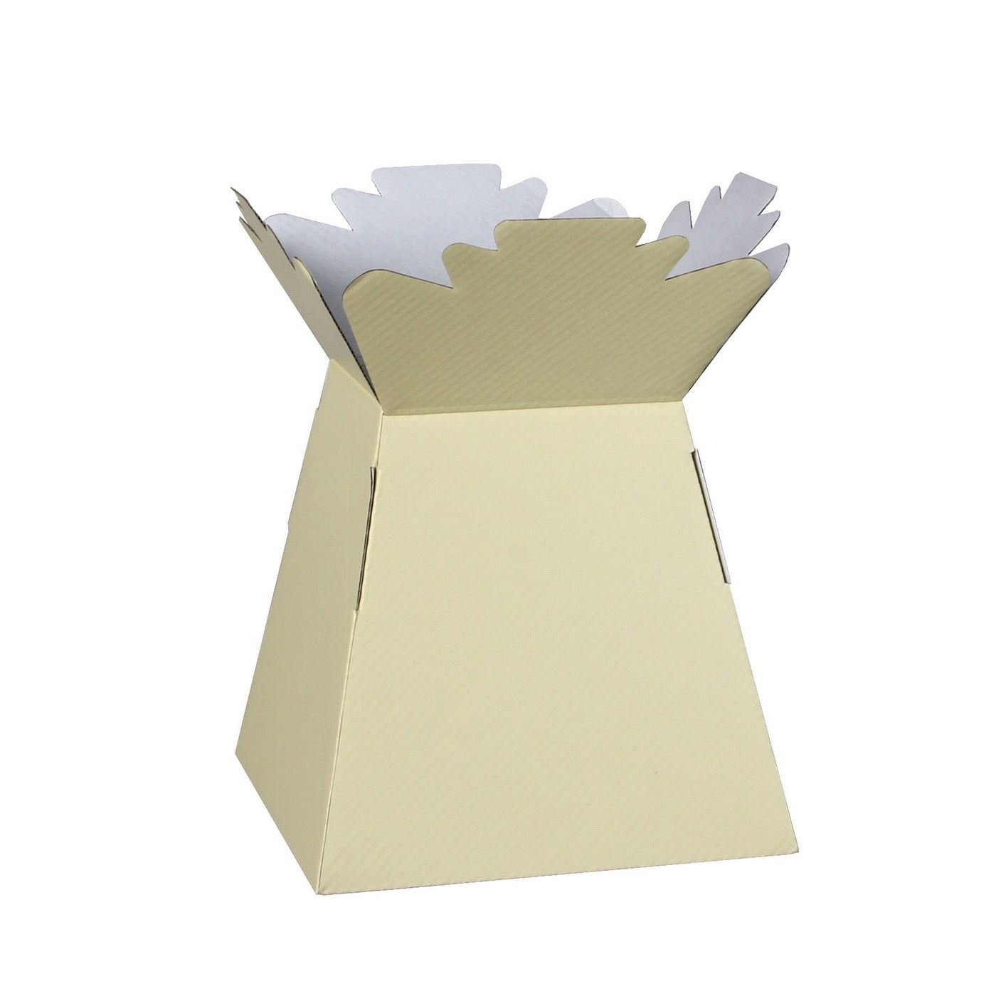Cng Florist Cundries Ivory 10 Transporter Box/Living Vase Glossy (3803)