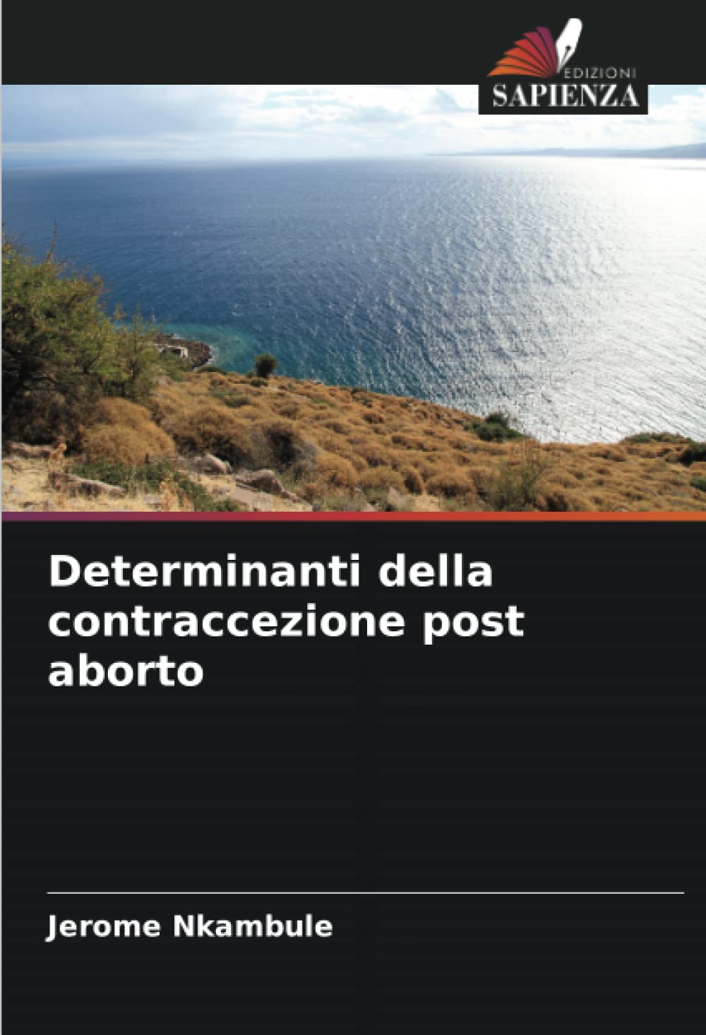 Determinanti della contraccezione post aborto