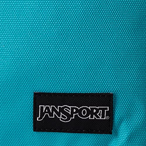 JANSPORT Recycled SuperBreak Backpack3