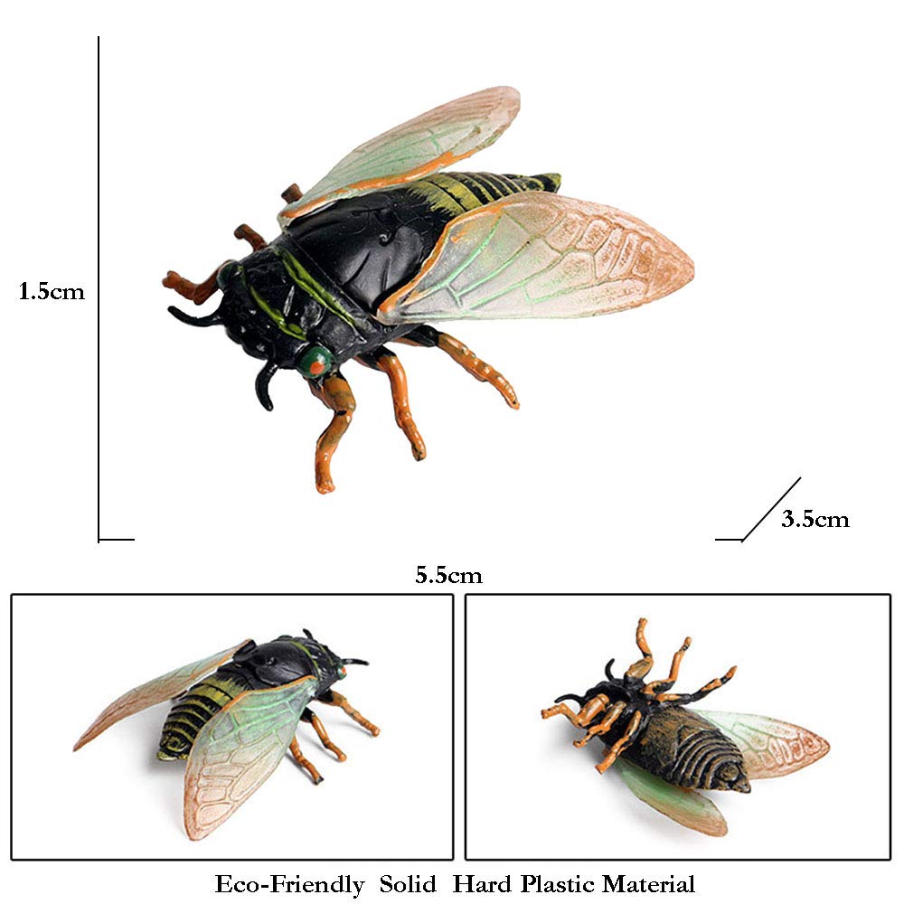 Amazon.co.jp: FLORMOON蝉置物、現実的な昆虫のおもちゃ、科学