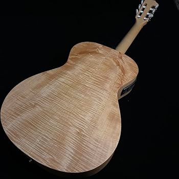 Amazon | Taylor LTD EG Academy 12e-N エレガットギター