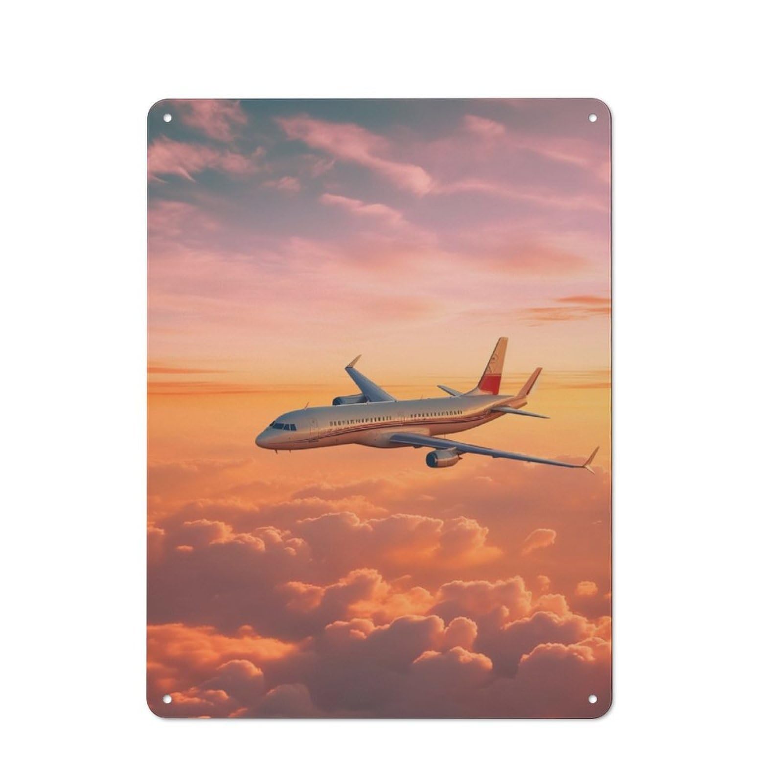 Junmoney Plane Sunset Industrial-Style Metal Plaque 40X30cm For Hallway Wall, A Winter Wall Decor Update For Hallway Decor Lovers