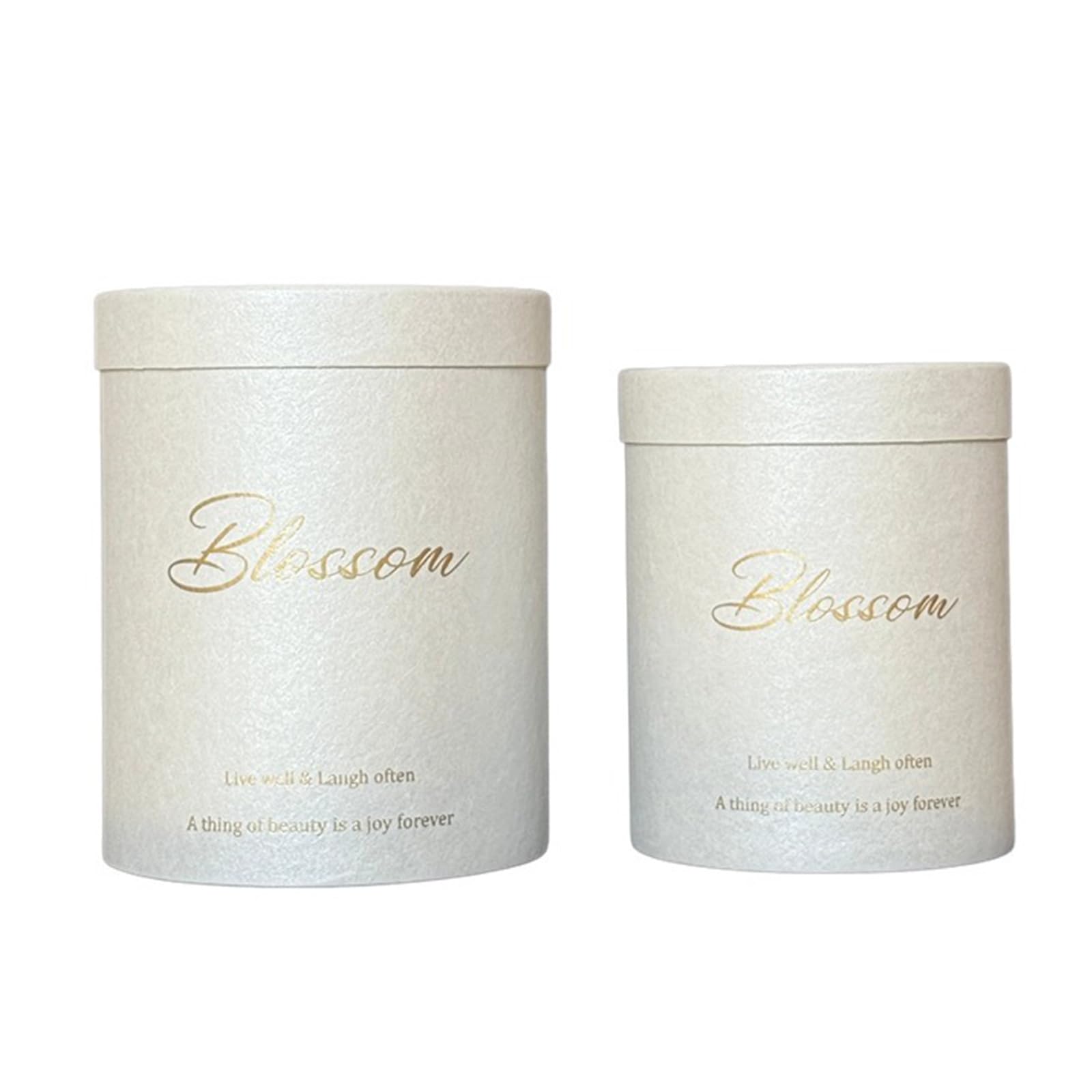 Piceioep Gift Box Modern Round Floral Arrangement Container with Pearlized Finish and Simple Lettering Flower Bucket