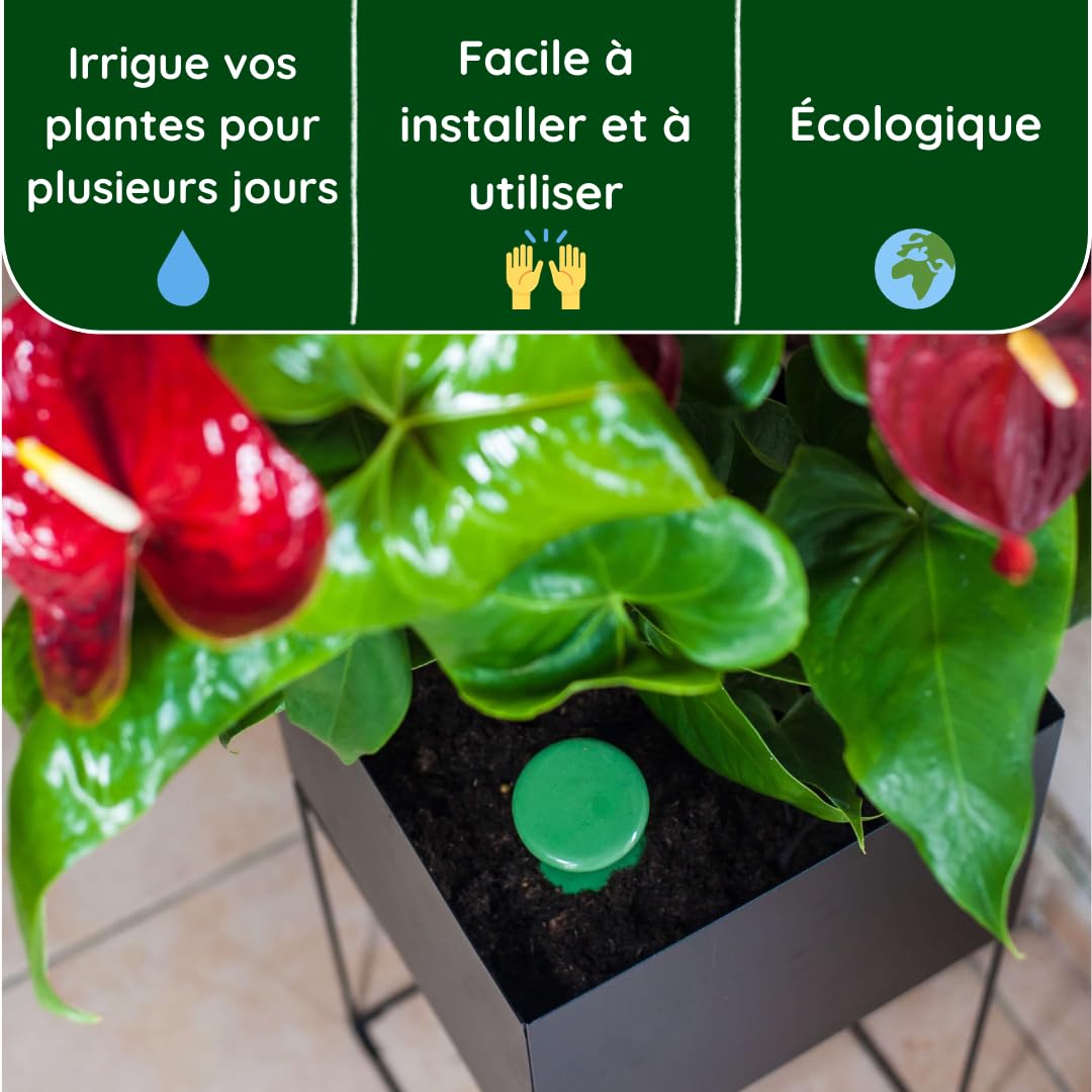 3 oyas à enterrer de 330 ML en Couleur avec Leur Couvercle - ollas pour arroser Tous Type de Plante d'intérieur et extérieur (Vert)