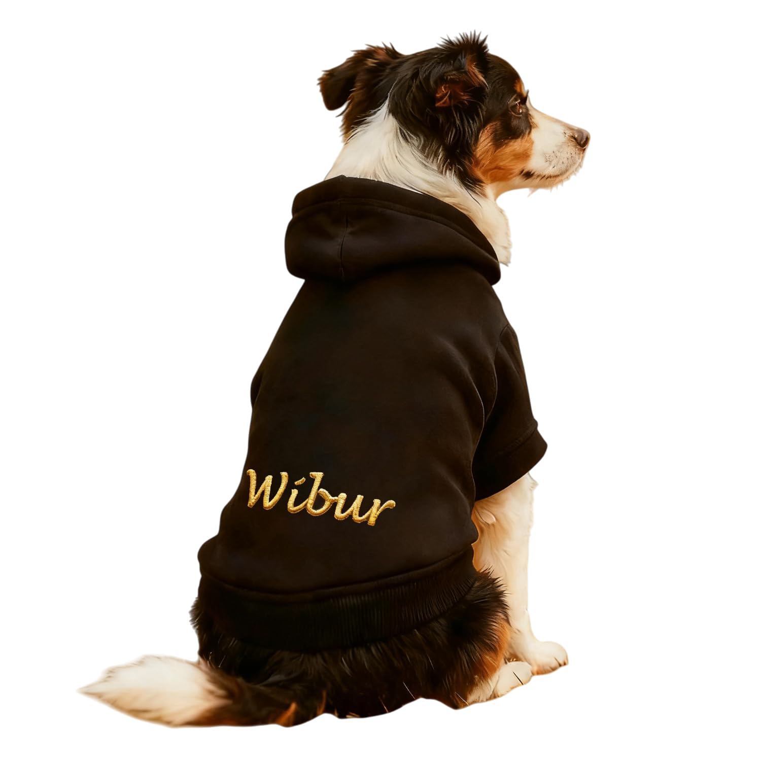 Personalized Dog Hoodie Jumper with Embroidered Name and Paw Print – Custom Fleece Lined Dog Sweatshirt Winter Warm Pet Clothes Gift for Small Medium Large Dogs