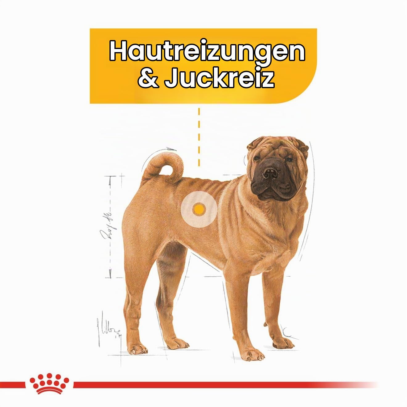 Dermacomfort Medium | Trockenfutter für Hunde | 3 kg | Mit Omega-3 und -6 – Ansicht 3