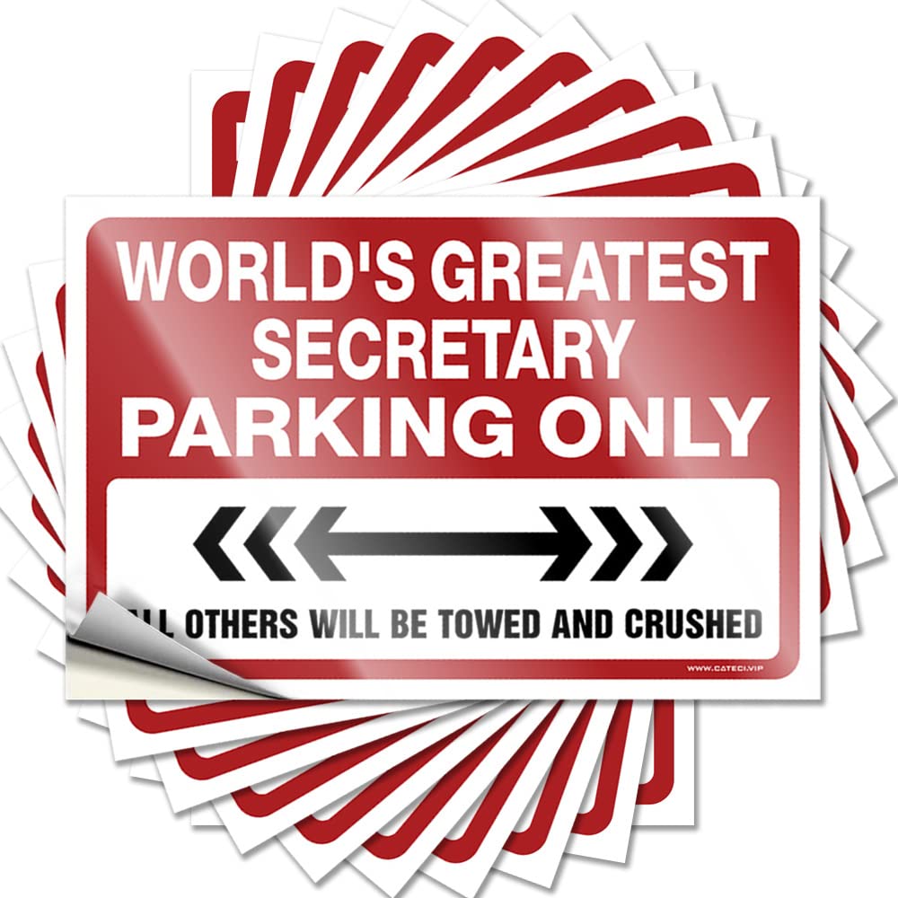 Fzfn Men's Colour World's Greatest Secretary Parking Only Tattoo Home Self Adhesive | Book Case Vinyl Sticker Pack For Billiard(6X9cm)