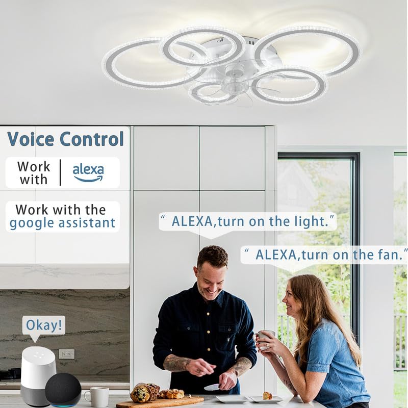 TYDOJK Ceiling Fan With Lights And Remote 18.9in 48W Reversible Low