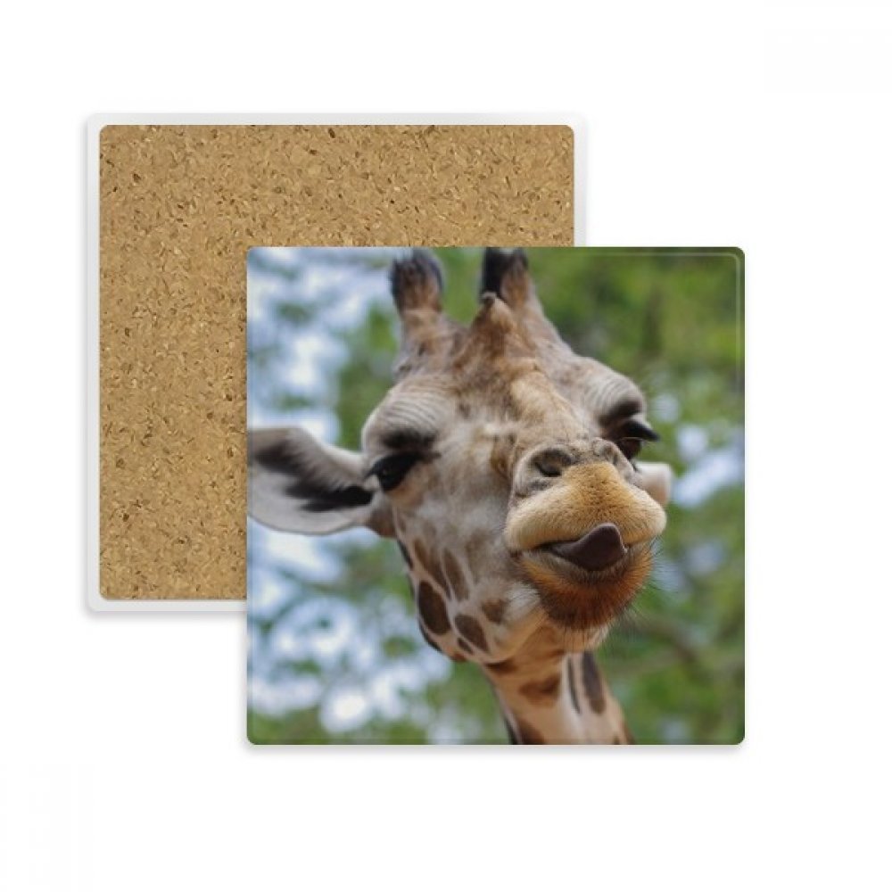 Porte-tasse cerf sauvage en pierre absorbante idée cadeau originale