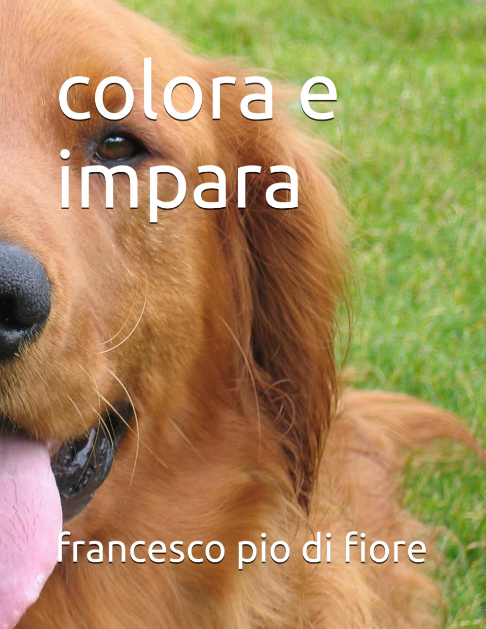 colora e impara
