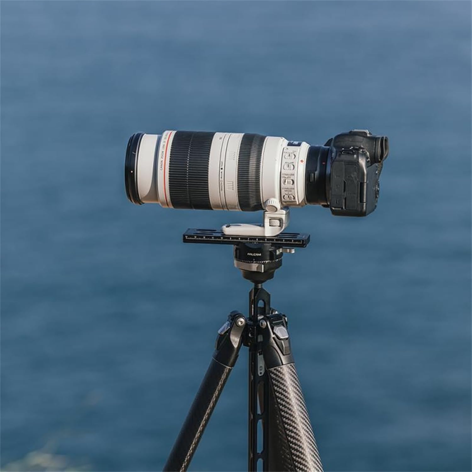 Falcam F38 Pro TreeRoot Quicklock Travel Camera Tripod, 61" Carbon Fiber Portable DSLR Professional Camera Stand Photography Panoramic Pan Tilt Stand for Sony for Canon for Fuji Carry Strap Holes