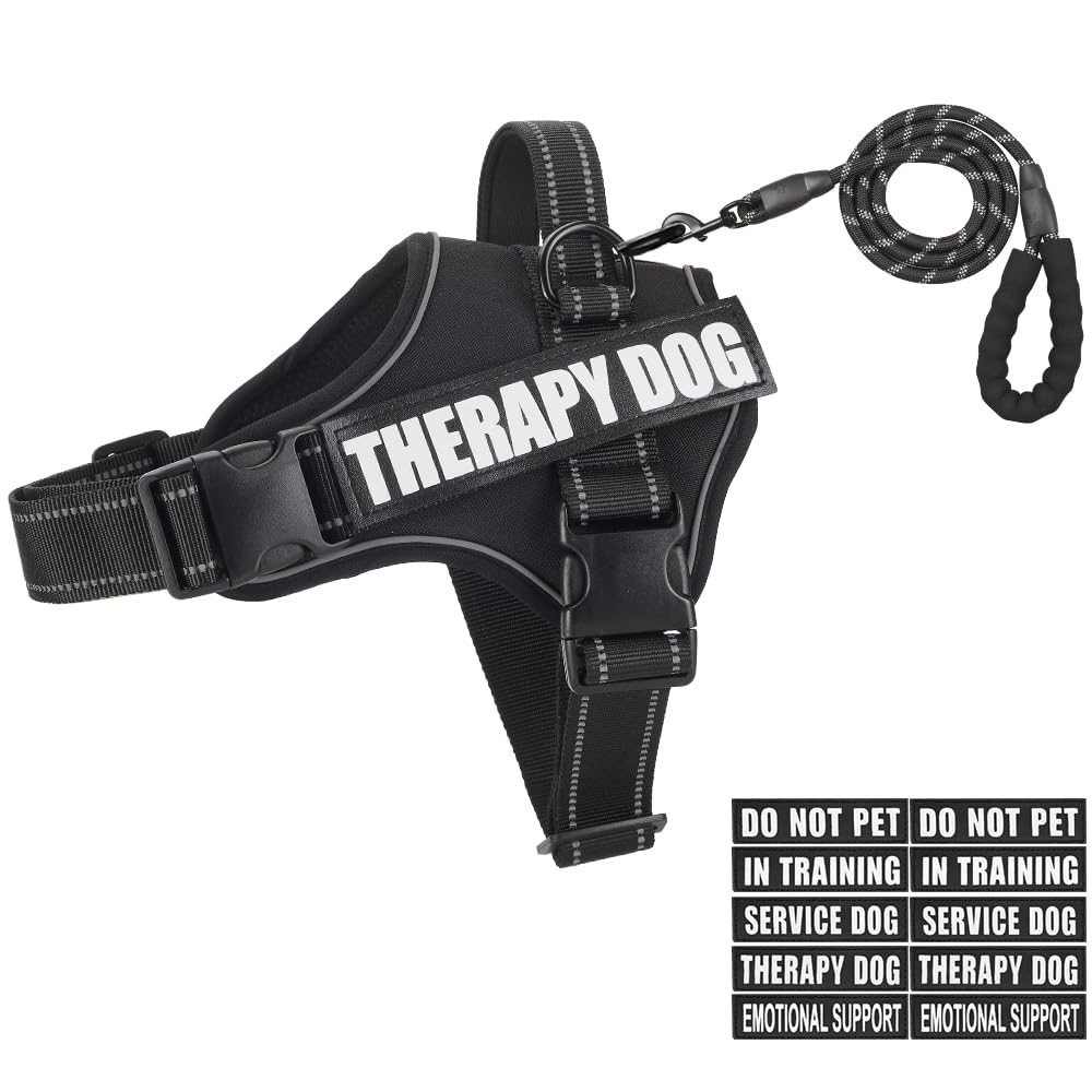 Animire Dog Vest Harness and Leash Set, Reflective Service Dog Vest in Training, 3 Rings, Emotional Support Therapy Dog Harness, Black, XS