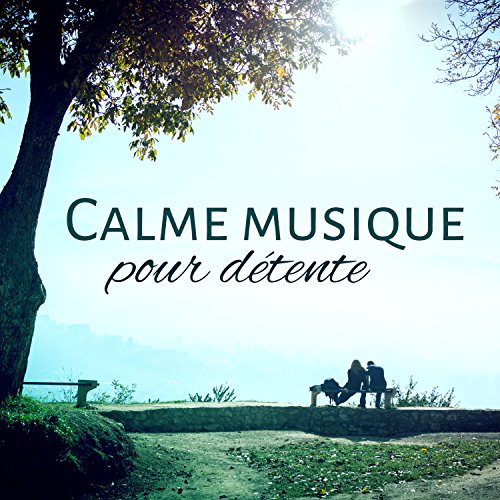 Amazon MusicでMusique apaisante de fond new ageのCalme musique pour