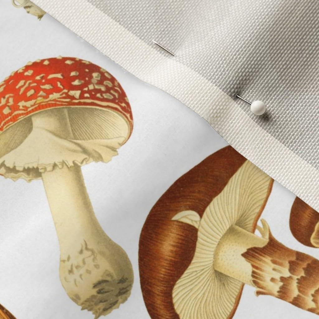 Spoonflower Fabric - Vintage Botanical Botanicals Mushrooms Illustration Nature Art Natural Printed on Upholstery Velvet Fabric Fat Quarter - Upholstery Home Decor Bottomweight Apparel
