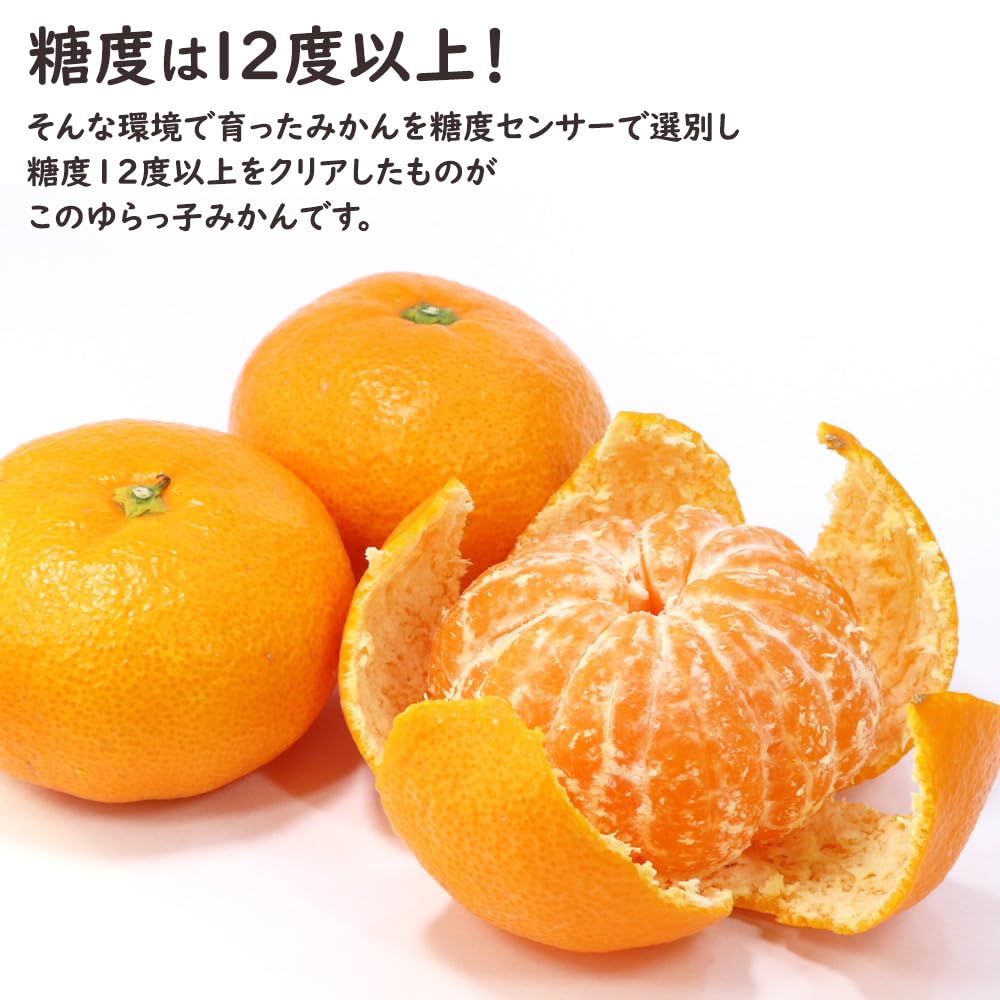 Amazon.co.jp: ゆらっ子みかん ゆらっこみかん ケース 箱売り 和歌山県