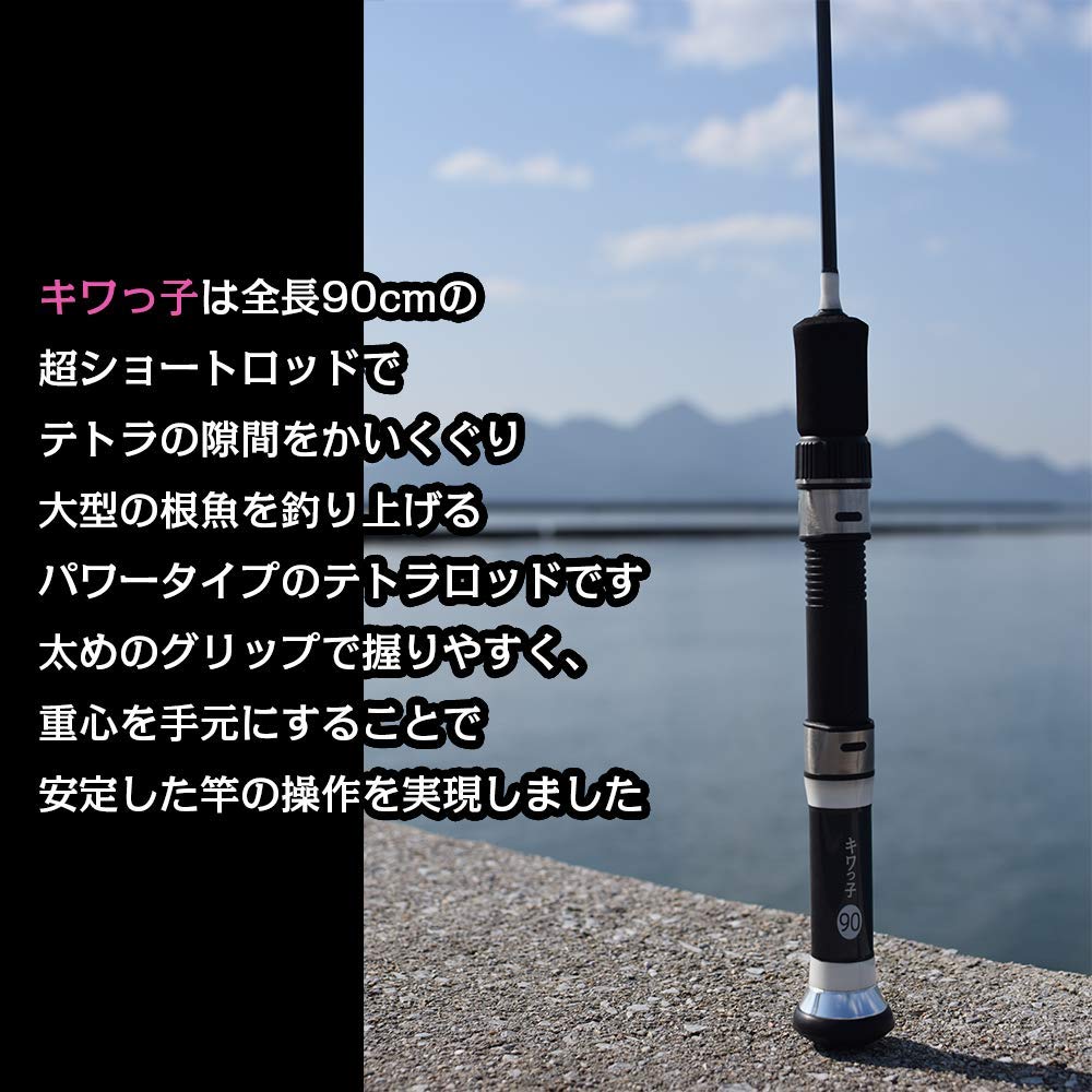 Amazon | FIVE STAR 防波堤 穴釣り 竿 キワっ子 (キワっ子90) | FIVE