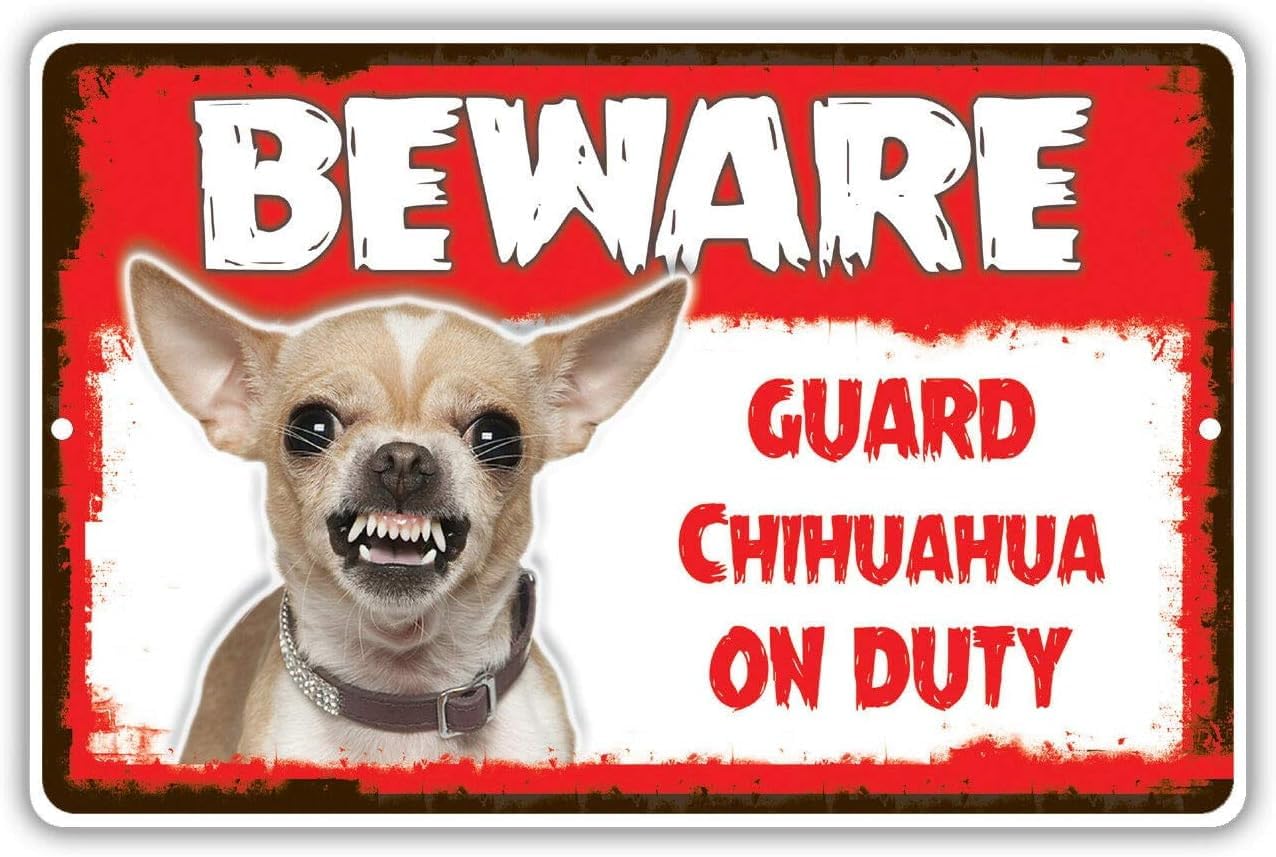 Lobes Colour-573 Beware Guard Chihuahua Dog On Duty Wall Art Mounted Novelty Metal Sign 6"X8"