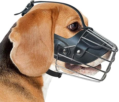 Anti-Mordedura De Piel Maskr, Cesta Hocico del Perro De ...