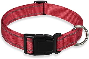 Reflective Red Collar for Medium Dogs