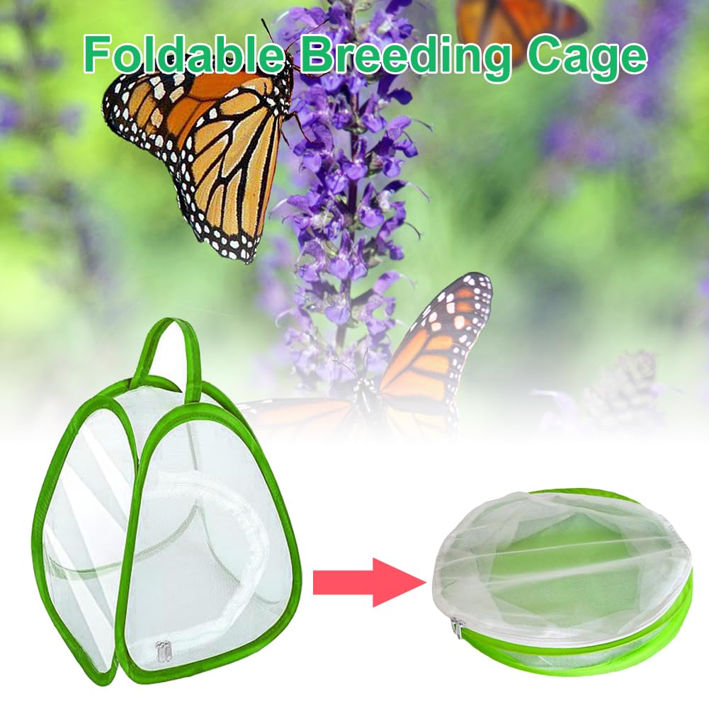 Gabbia per Farfalle in Mesh Pieghevole per Habitat Piante e Insetti