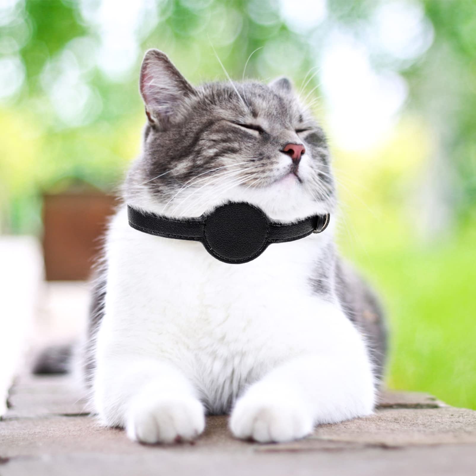 FRCOLOR 5stücke Katzenhalsband Mit Sicherheitsfunktion Verstellbares Tracer-Design Für Haustiere Geeignet Für Und Outdoor-aktivitäten Aus Langlebigem Pu-Material Komfortabel Und Leicht