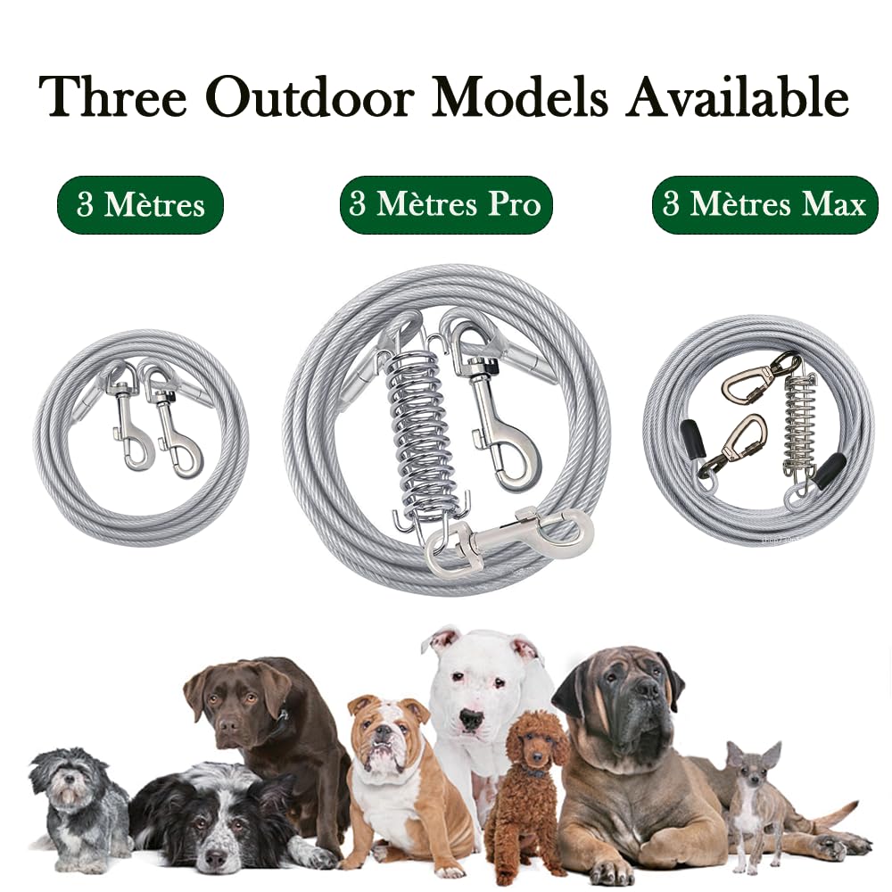 Correa Perro Grande para Exteriores 3 Metros | Correa De 300cm para Perros,Correas para Perros Largas y Resistentes con Cable de Acero (Plateado, 3 Metros Primavera)