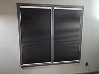 Review Image by B. Daily