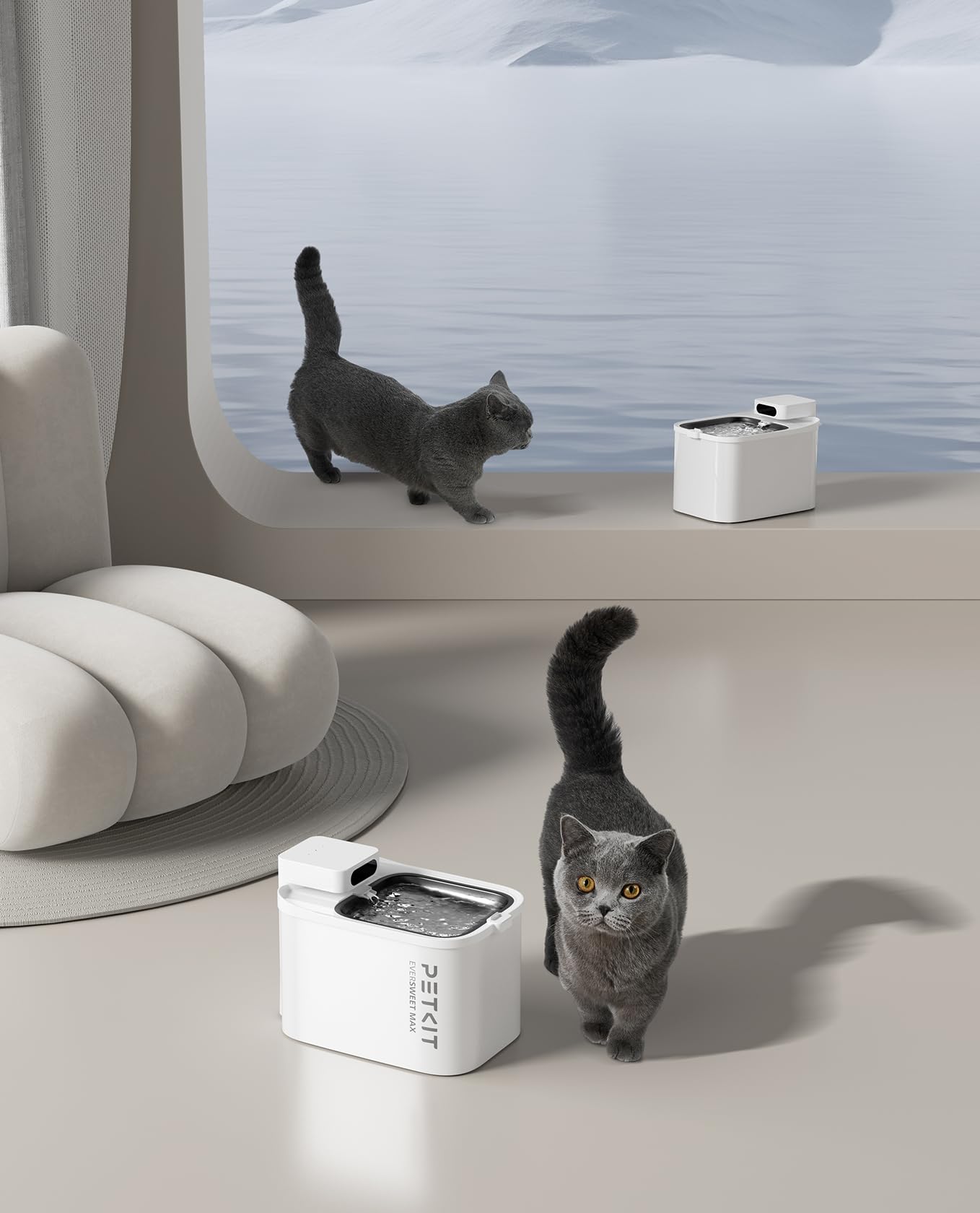 PETKIT EVERSWEET MAX Filtri, Filtri Fontanella per Gatti, 5 Pezzi Filtro per Fontana per Gatti,Carbone Attivo,Filtrazione Altamente Efficiente