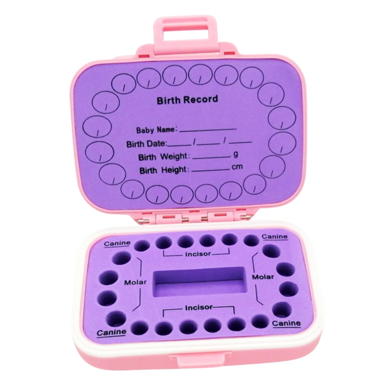 ERINGOGO Preserve Baby's First Teeth Tooth Keepsake Box Labels for Easy Identification Safe Storage