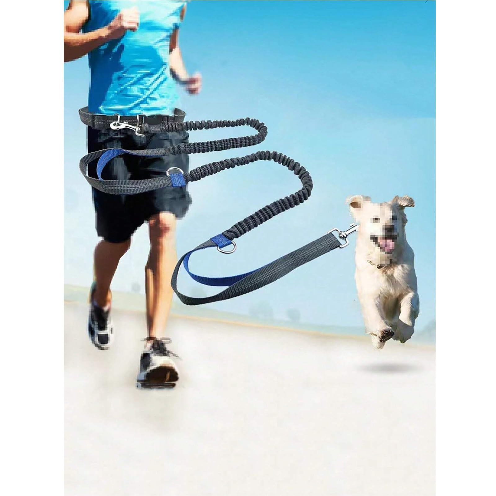 Hunde-Laufgurt 1 Multifunktionales elastisches Laufzugseil for Outdoor-Sportarten, Hundespaziergänge, spezielles Hundeseil, Hundekette(Color4)