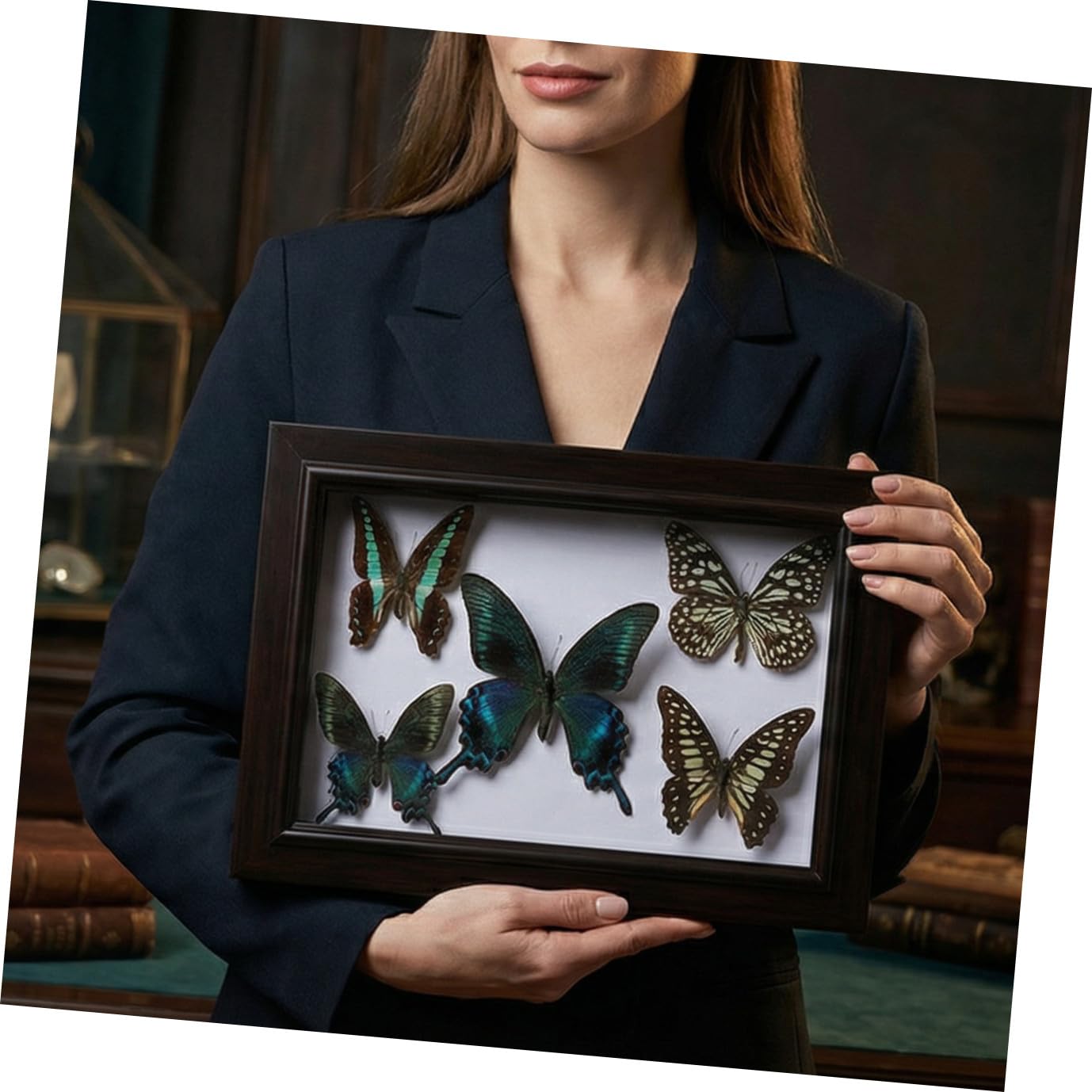 Marco para Exhibir Mariposas Tapas Transparentes, Marco de Madera Resistente para Decoración de Pared Sala de Estar