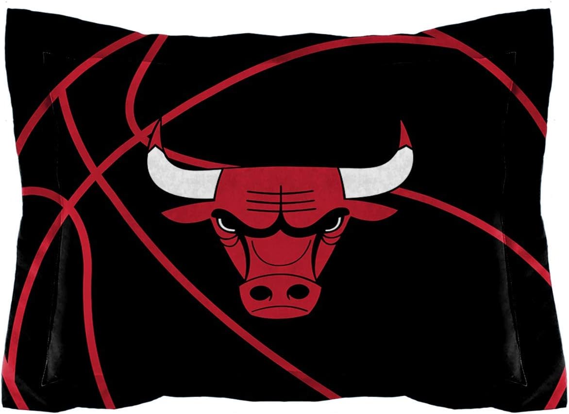 Northwest NBA Chicago Bulls Unisex-Adult Comforter and Sham Set, Twin, Reverse Slam