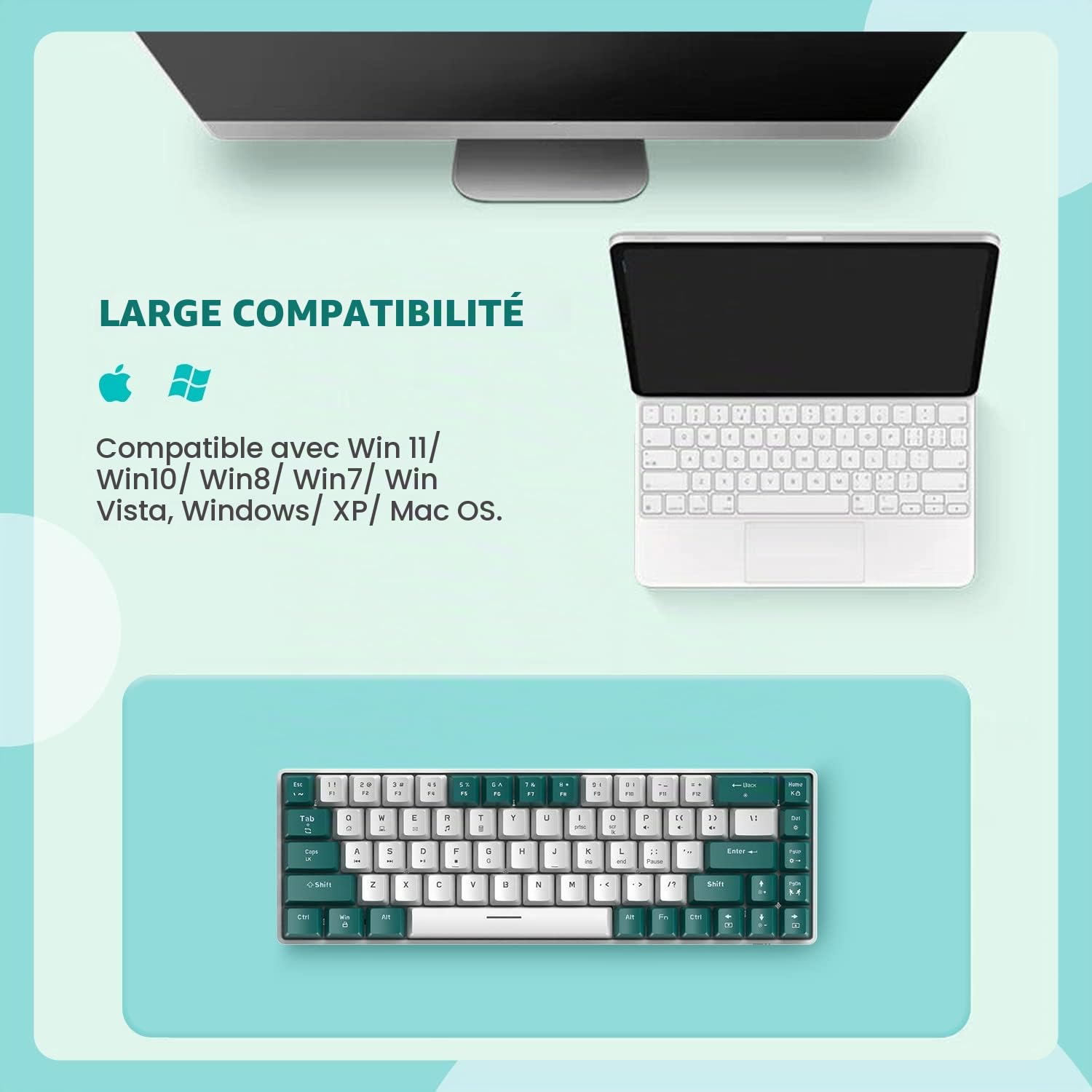 YINDIAO T8 Mini Clavier Mécanique de Jeu 60% - 68 Touches, Rétroéclairage 18 Chroma RVB, Interrupteur Bleu, Câble Spiralé USB C - Compatible PC, Laptop, Mac, PS4, Xbox - Vert