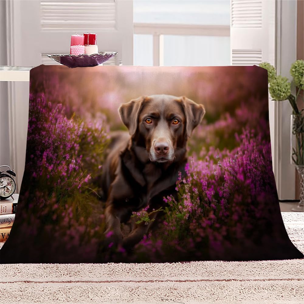 Funny Dog Throw Blanket, Fleece Blanket for Couch ...