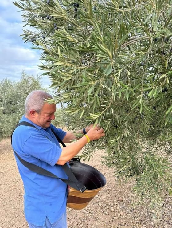Picual extra virgin oliwa z oliwek 2 l – AOVE de Jaén – tłoczona na zimno – zrównoważony smak i nuty owocowe
