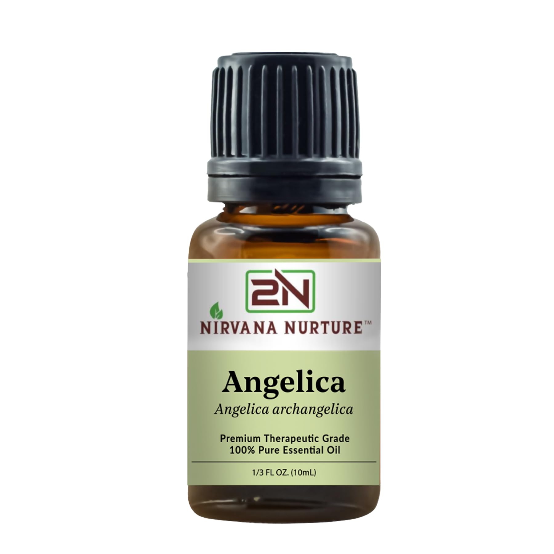 Angelica Essential Oil 100% Pure Premium Therapeutic Grade, Undiluted - Aromatherapy Diffuser for Calm and Relaxation, Skin Care, Hair Care