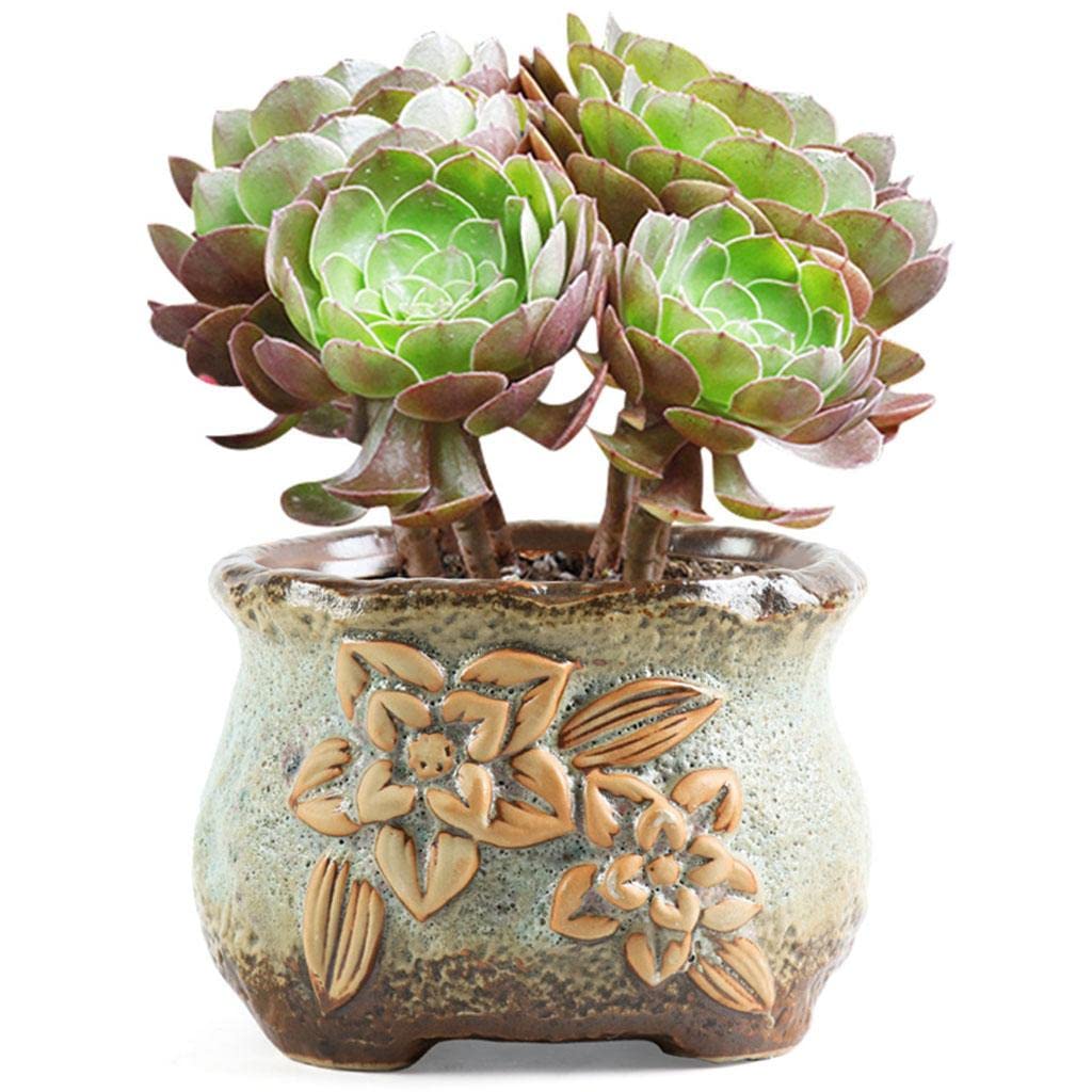 Succulent Plant Pot Cactus Flower Pot Decor Planter Pots Green 5.6x4.9x3.9in-image-40