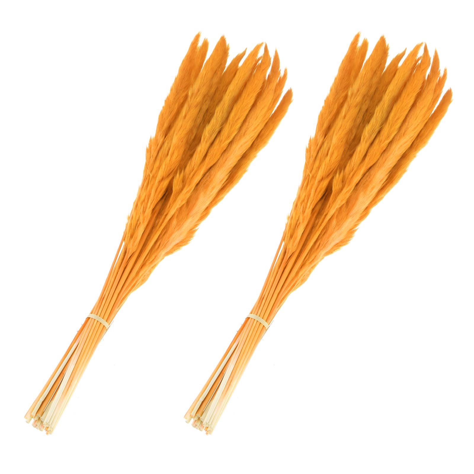 Herbes de la pampa artificielles pour decoration de mariage et bouquets de table