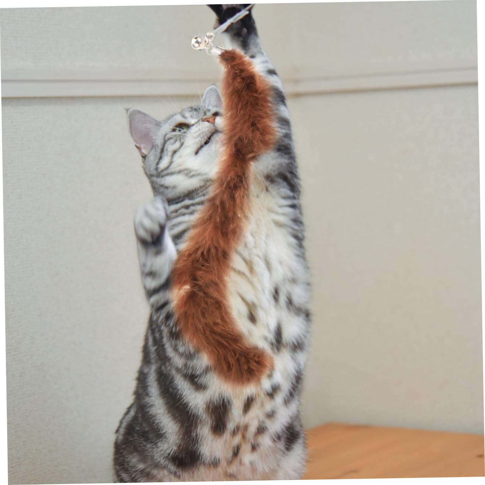 DOITOOL Lot De 3 Jouets Interactifs pour Chatons Clochettes Amusantes en Peluche pour Animaux De Compagnie 6 Pièces X 3