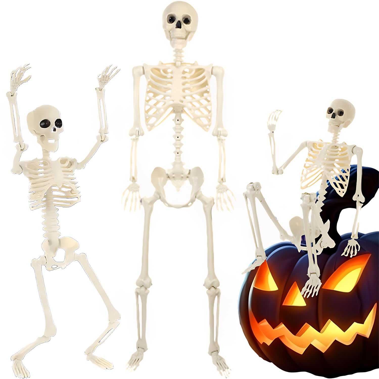 Amazon | ハロウィン 飾り 骸骨 90cm 可動式 スケルトン 人体模型 骨格