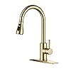 FORIOUS Gold Kitchen Faucet with Pull Down Sprayer, High Arc Single Handle Classic Stainless Steel Sink Faucet 1 or 3 Hole, Suitable for Farmhouse Camper Laundry Rv Bar