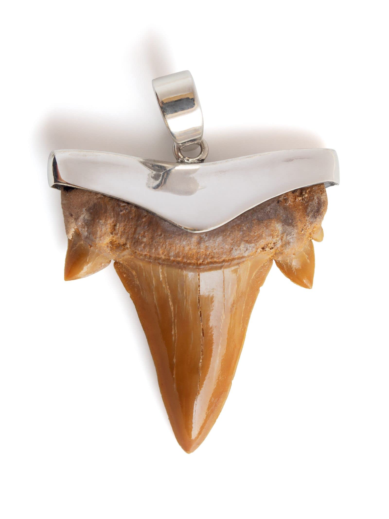 Fly Style echter Haizahn Anhänger mit 925 Silber Fassung - Handgefertigtes Unikat - Fossil Fossilien echt