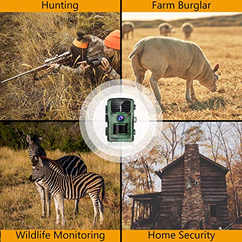 Upgrade TOGUARD Trail Camera 16MP 1080P Game Hunting Cameras with