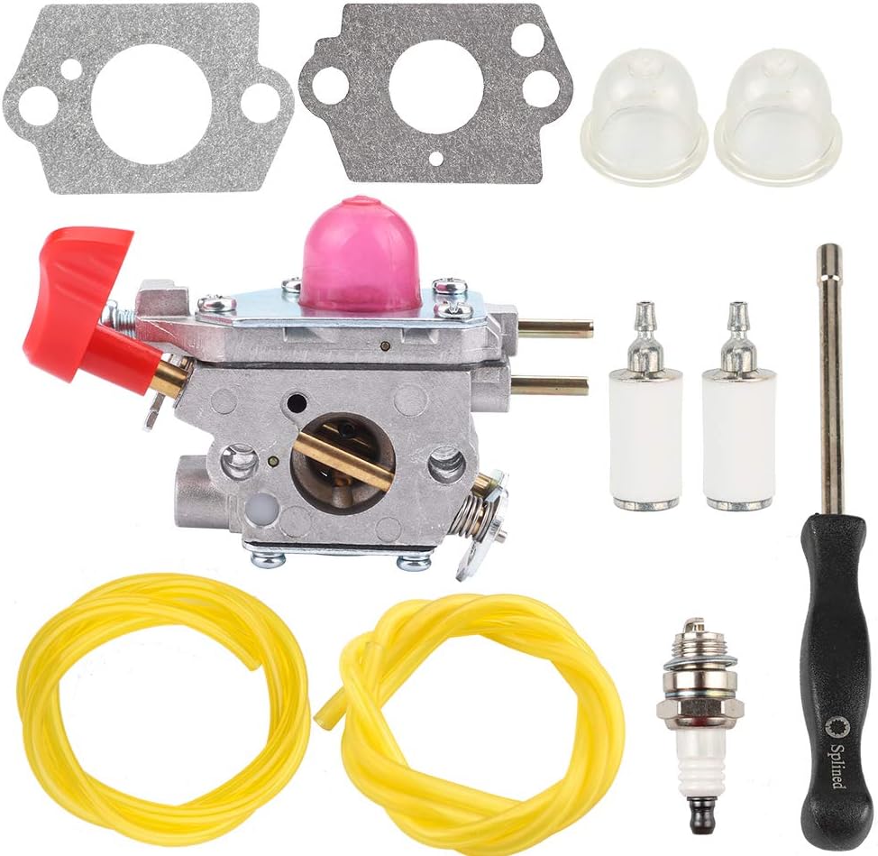 Carburateur Professionnel Pour Souffleur à Gaz Poulan