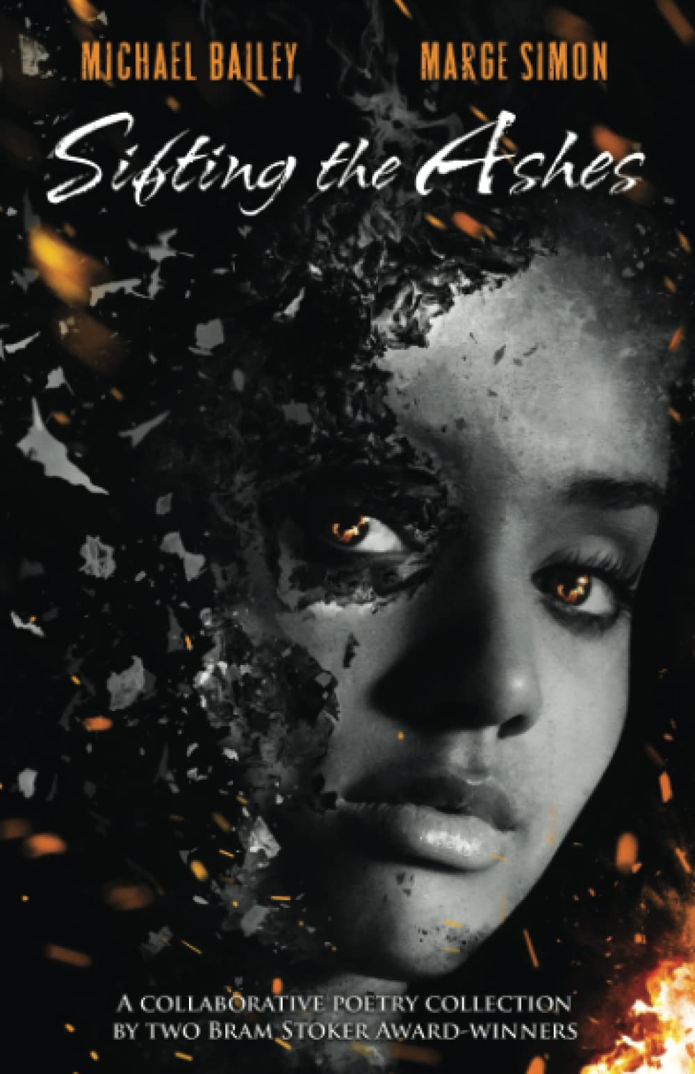 Cover of Sifting the Ashes