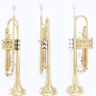 Student Brass Trumpet Trumpet Instrument Brass Instrument Brass B Flat Three-note Trumpet Beginner Playing